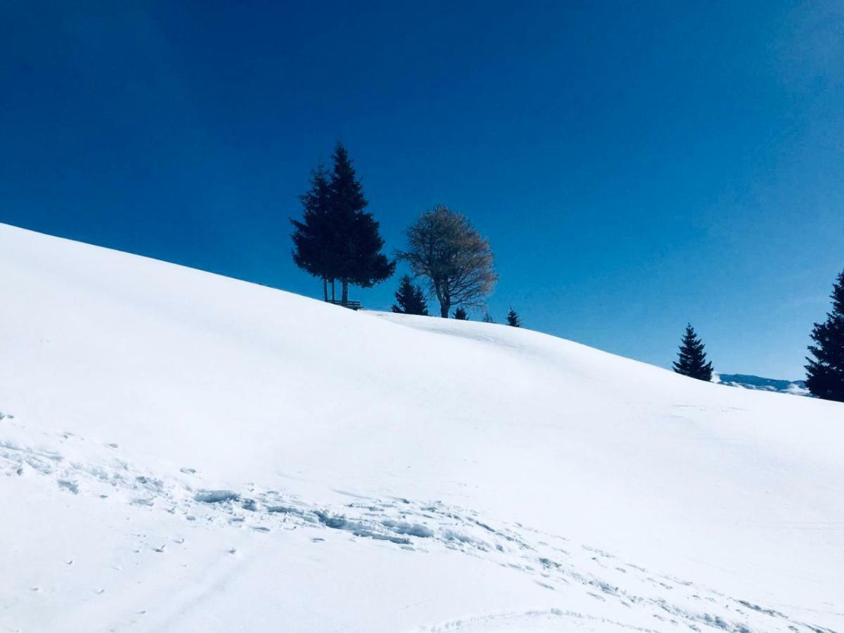 Haus Alpenrose Apartman Trins Kültér fotó