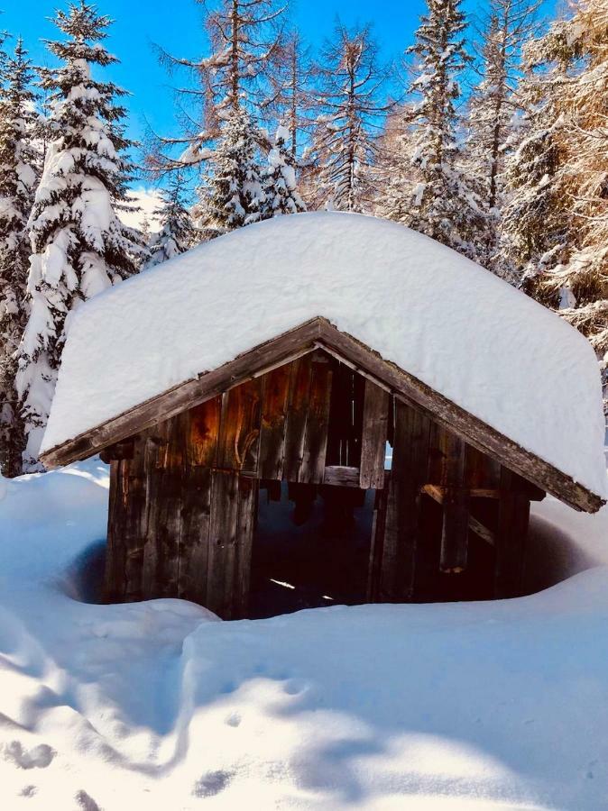 Haus Alpenrose Apartman Trins Kültér fotó